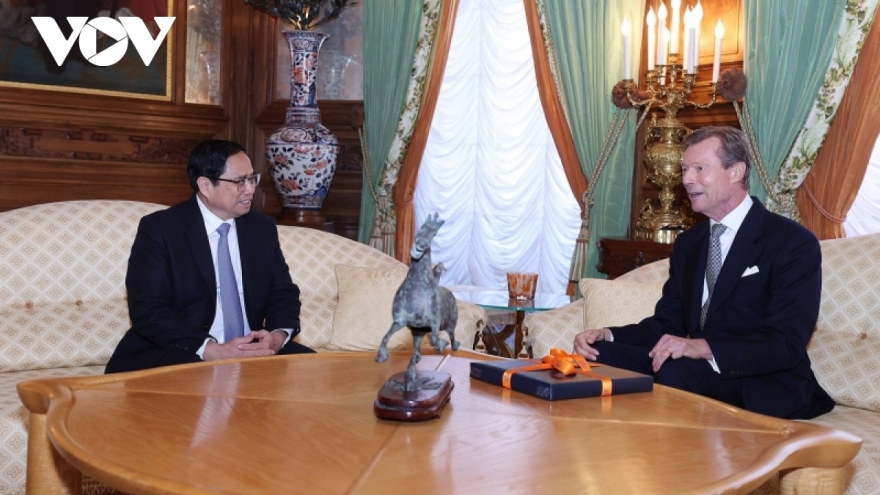 Vietnamese Government chief meets Grand Duke of Luxembourg
